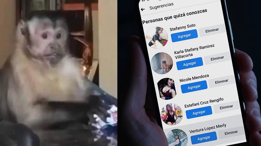 ¿Es verdad que si 'stalkeas' un perfil de Facebook se manda solicitud automáticamente?