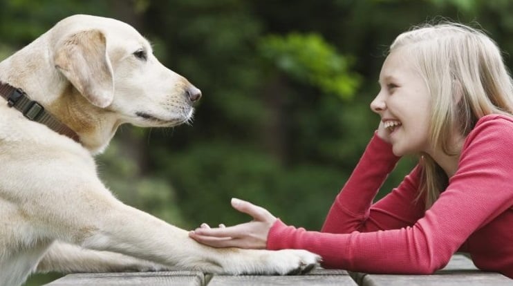 Desarrollan Inteligencia Artificial para hablar con los animales