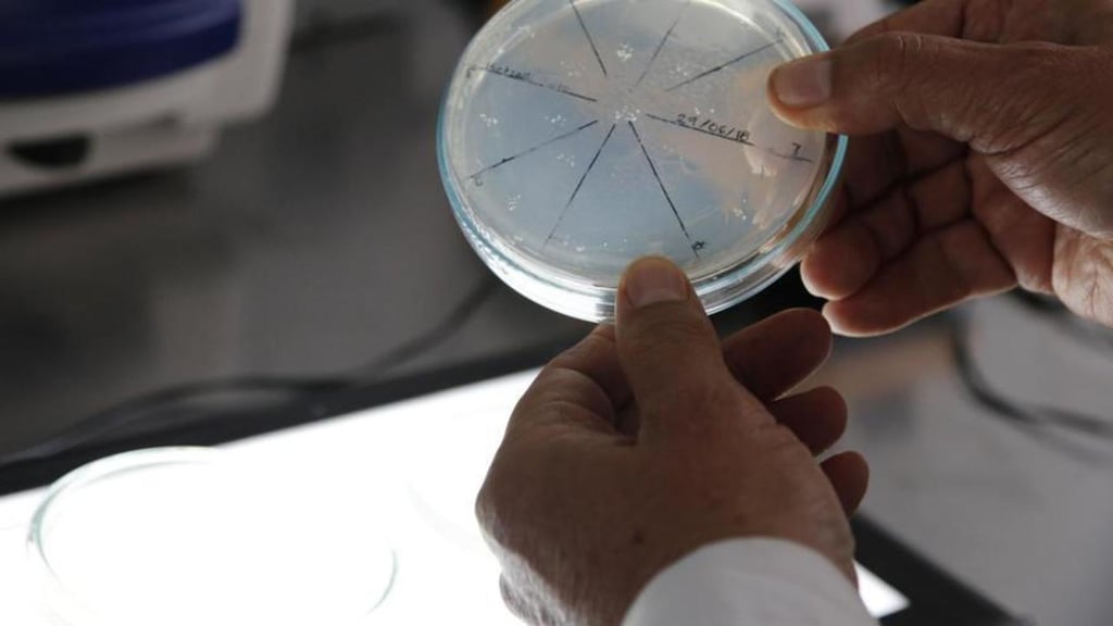 Hong Kong envía bacterias de la Tierra