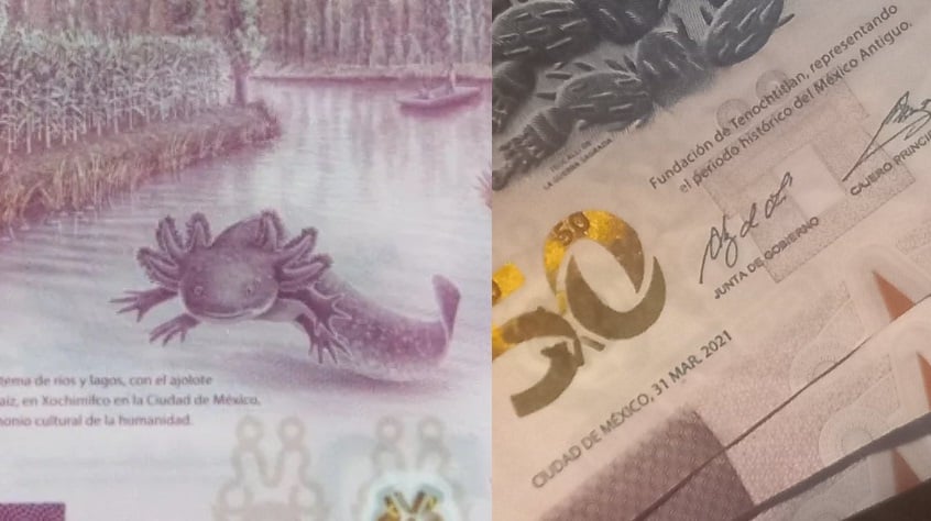 Mujer vende raro billete del 'ajolotito' para pagar sus quimioterapias