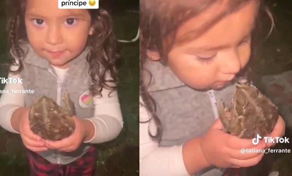 VIRAL: Niña besa a un sapo creyendo que se transformaría en príncipe