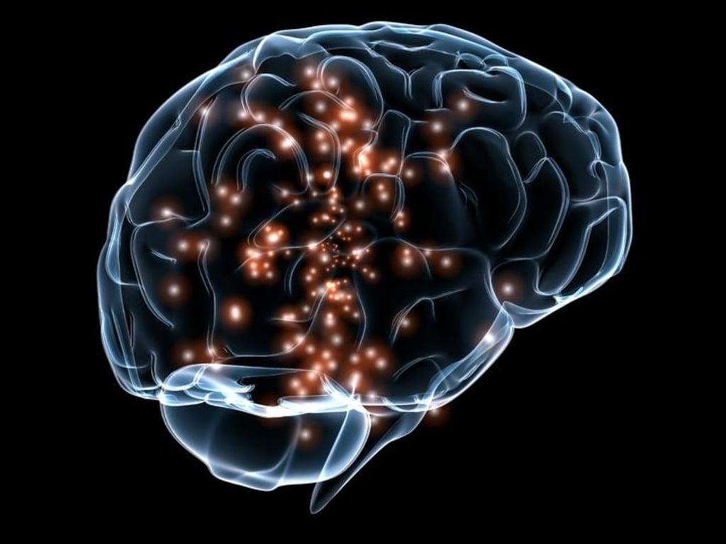 La longevidad y el tamaño del cerebro explican nuestra 'aorta de gorila'