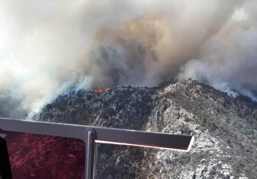 Mezquital, el más afectado por incendios forestales