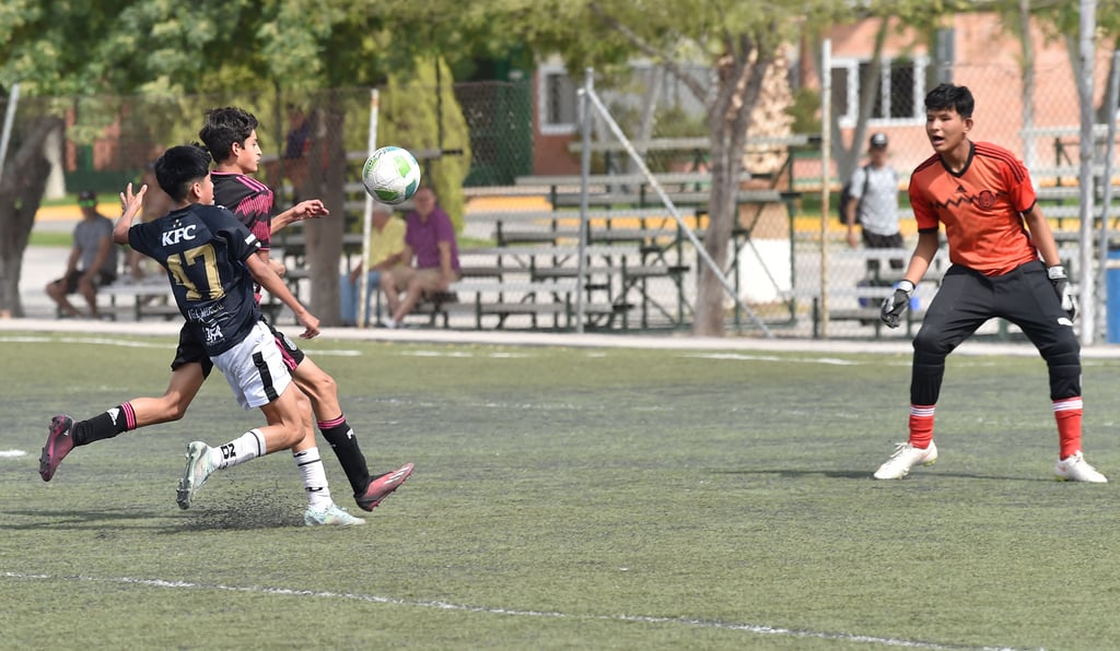 Preparan la Liga Formativa de la Laguna, el Mundialito 2023