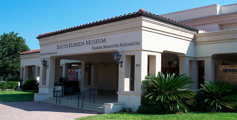 Descubren varios esqueletos completos en un cementerio de gonfoterios en Florida