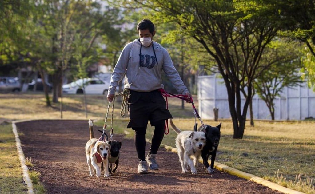 Lleva a tu mascota a estos 5 parques para perros en CDMX