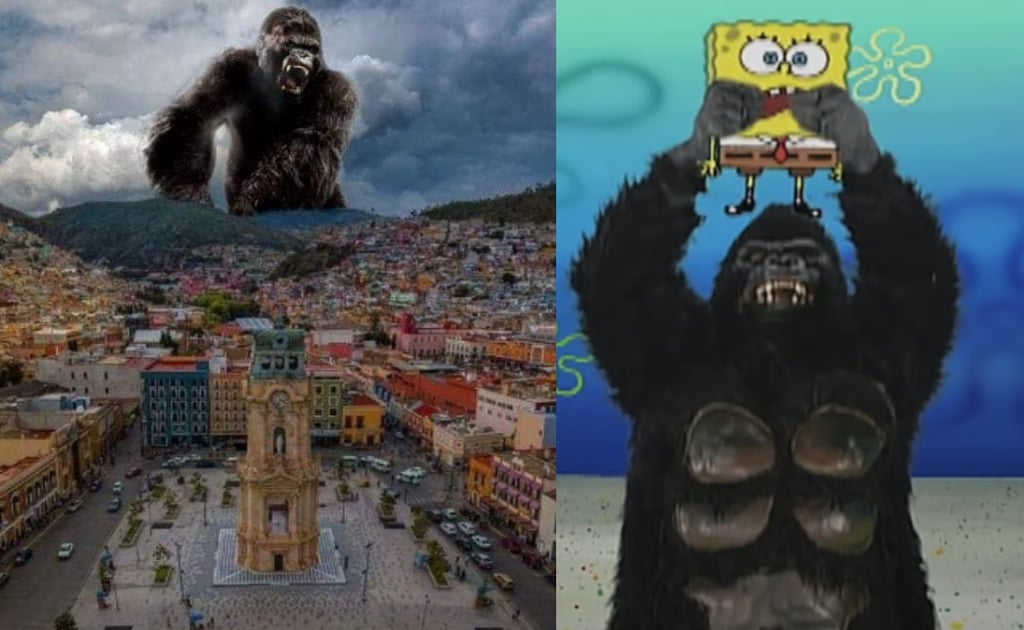 Presencia de gorila suelto en Hidalgo genera memes