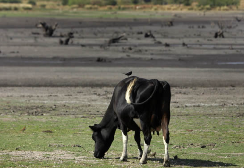 Uruguay acoge el foro internacional Sustainable Brands en busca de mecanismos de colaboración