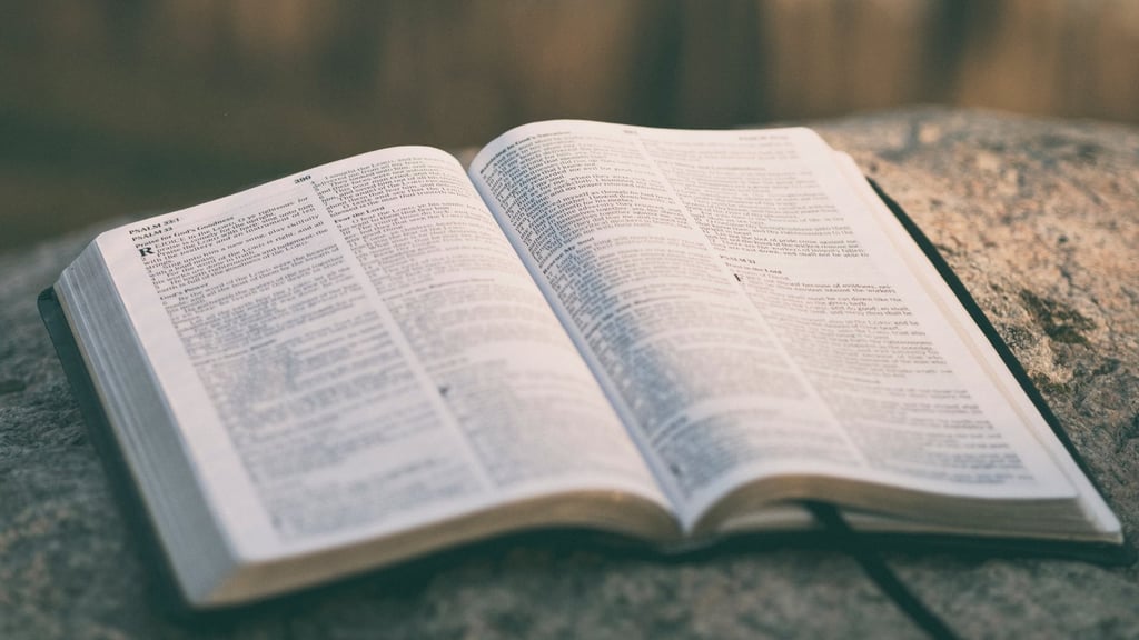 El padre que puso la demanda lo hizo por frustración ante los libros que se estaban retirando de las escuelas gracias a las denuncias conservadoras. (ARCHIVO)