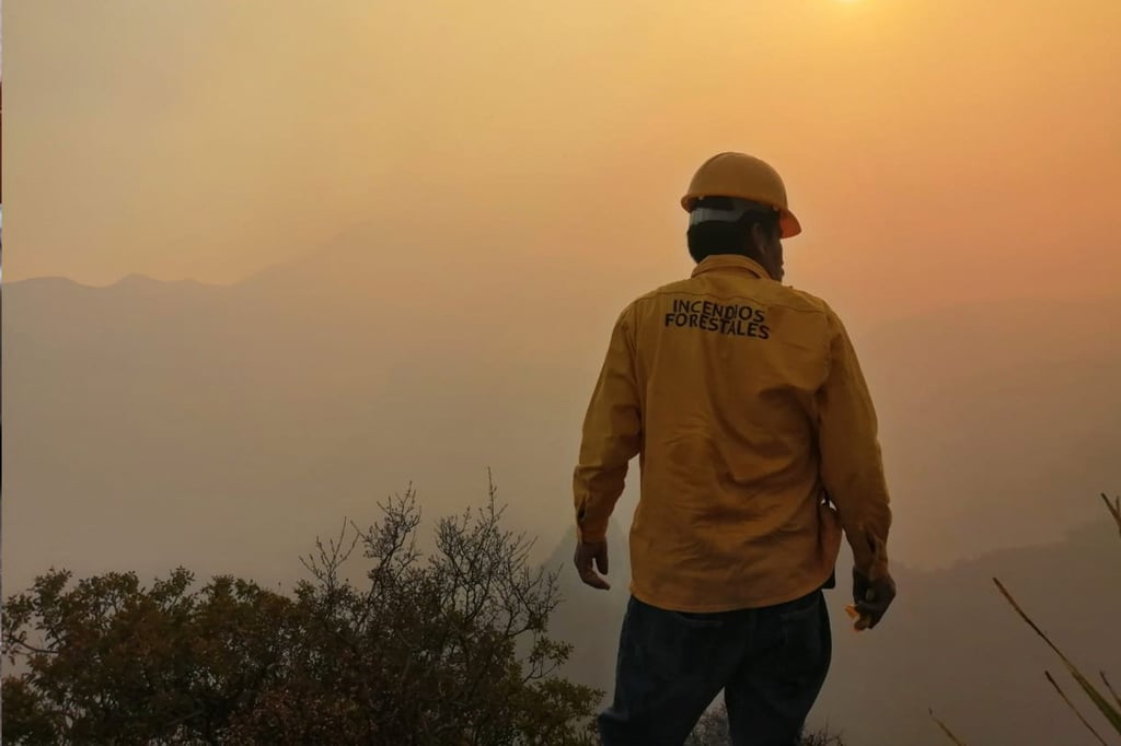 Hay Ocho Incendios Forestales Activos En Durango