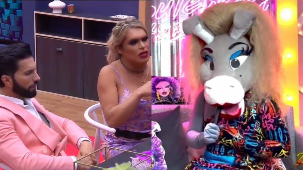 Burrita Burrona se declara team Wendy Guevara y pide no votar a favor de Poncho de Nigris