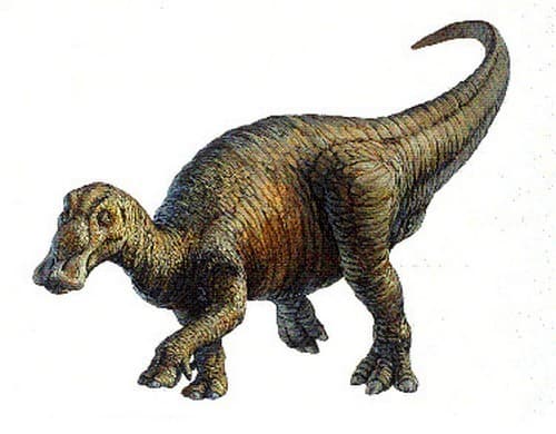 Hasta ahora, se pensaba que estos dinosaurios, también llamados 'pico de pato' por tener una boca como los picos de las aves anátidas, habían dominado todo el periodo.