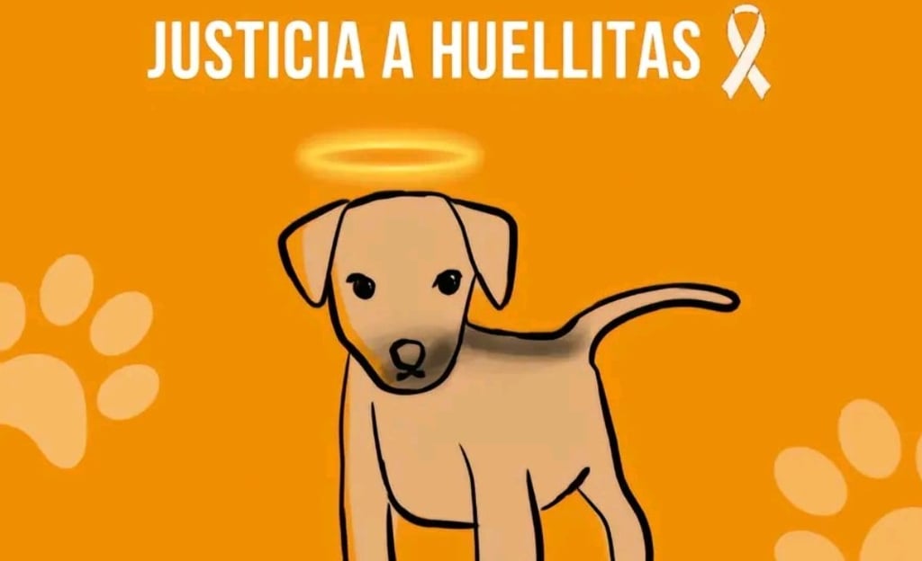 Exigen justicia para 'Huellitas', cachorro asesinado por alumna de CBTIS