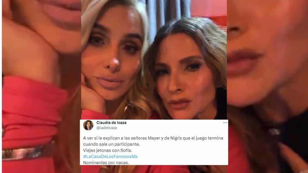 Claudia de Icaza llama 'nacas' a las esposas de Sergio Mayer y Poncho De Nigris