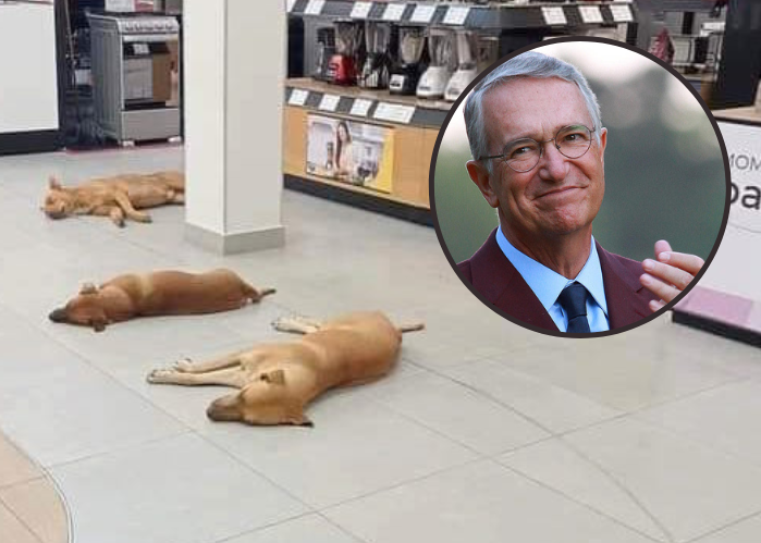 Tras foto en Gómez Palacio, Salinas Pliego 'ordenó' que perros puedan dormir en sus tiendas