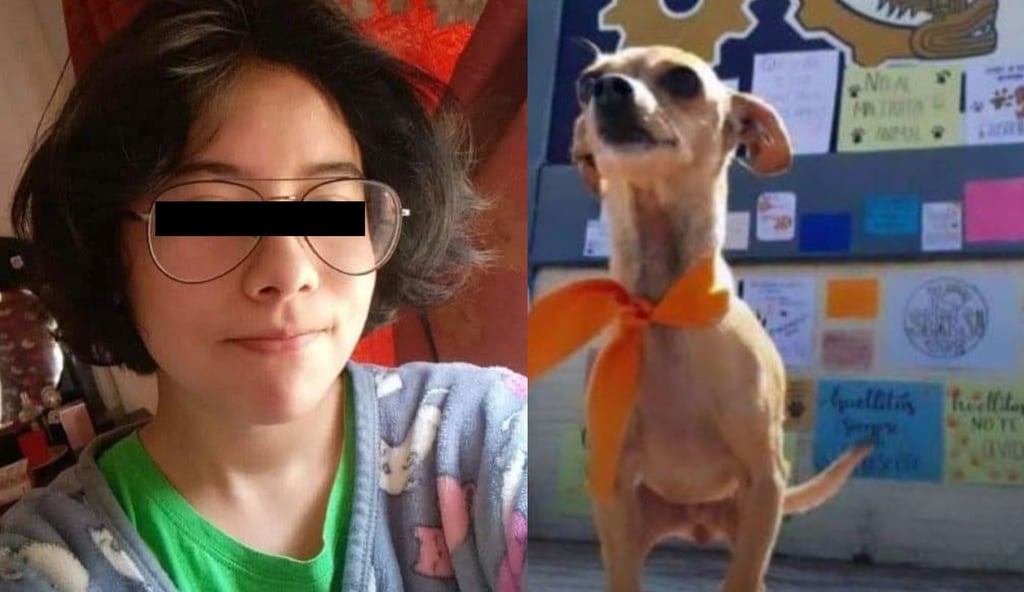 Cu Ntos A Os Podr A Pasar En Prisi N Vanessa La Joven Que Asesin A Un Perrito En Puebla