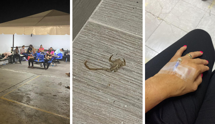 '¿Por qué no me contestas? ¡Me picó un alacrán!'