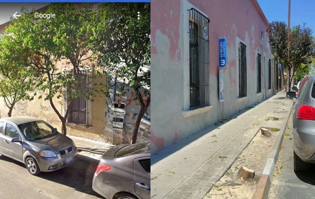 Denuncian derribo de árboles en Zona Centro de Durango 