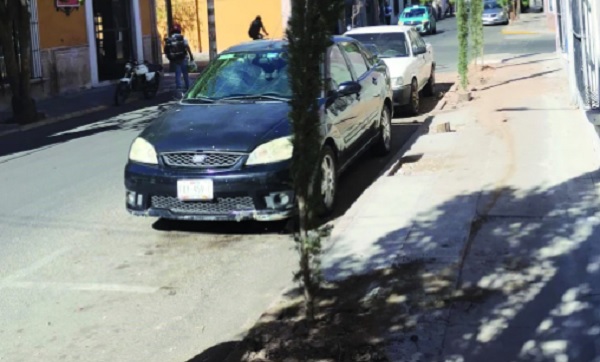 Habrá multa de 26 mil pesos a quien taló árboles sin permiso en Centro de Durango