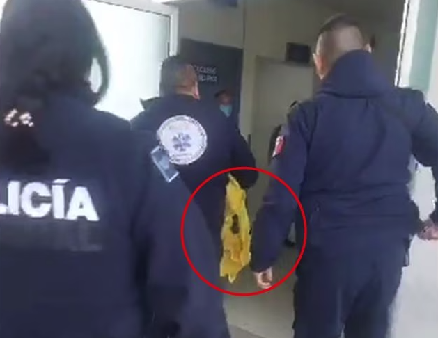 Fue encontrado un bebé abandonado cerca de una maceta en Ecatepec; debido a las condiciones en que estaba el recién nacido, tuvo que ser trasladado de emergencia al hospital.