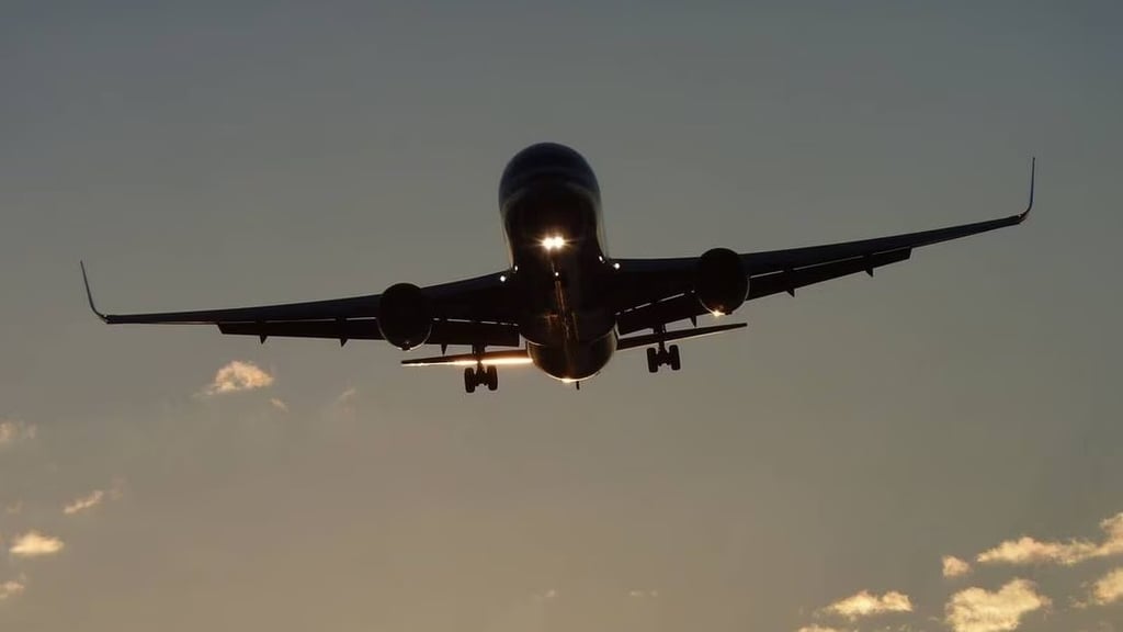 Estos son los 5 logos de 'Aerolínea Maya', la nueva empresa aérea del Ejército