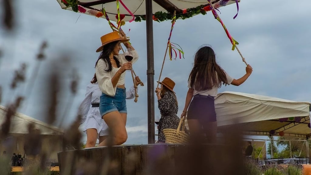 Extra. La actividad vitivinícola en Guanajuato está concentrada en 43 proyectos asociados a la uva. Sin embargo, hay una veintena más de productores que ya han plantado sus viñas.