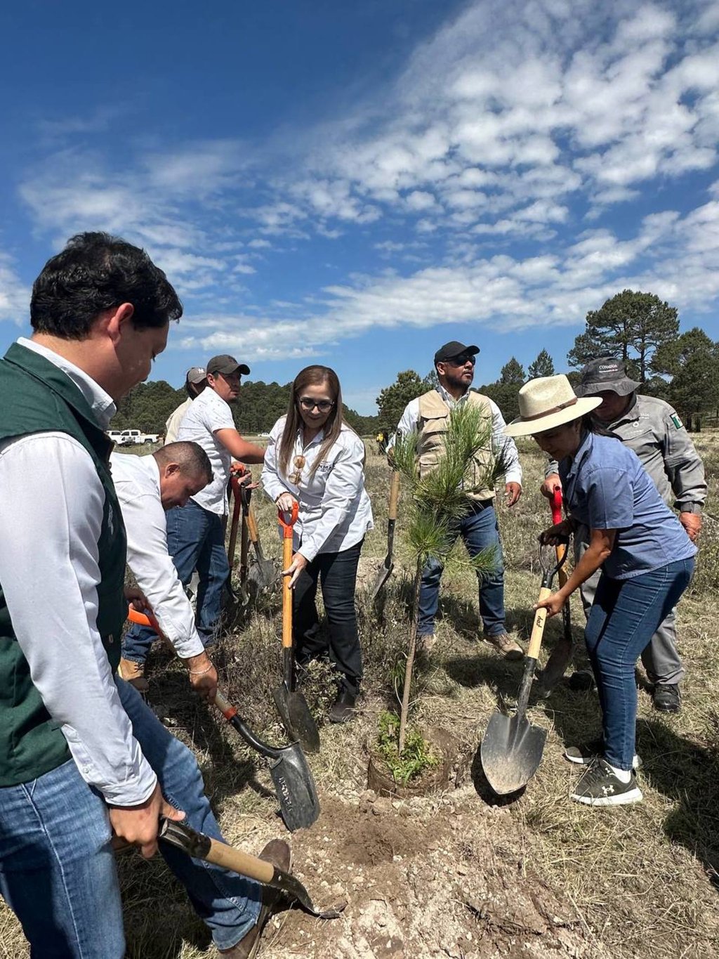 Campaña. Destinarán un millón y medio de arbolitos para reforestar los bosques; primera etapa arrancó con dos mil 100 ejemplares.