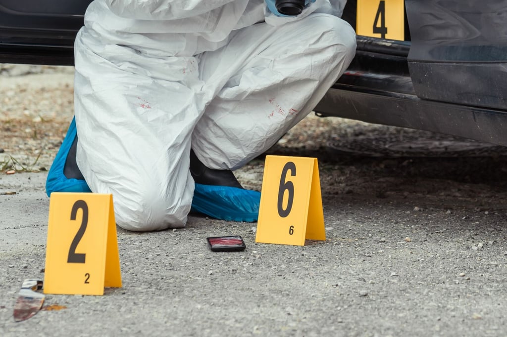 El Inegi contabilizó, con base en cifras preliminares, 32,223 asesinatos en 2022, una caída de 9.74 % frente a los 35,700 de 2021.