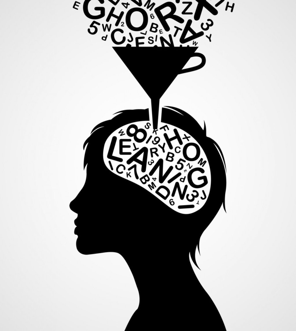 Esta posible relación entre el aprendizaje de los individuos y la evolución de las lenguas sobre cómo se organiza el significado no se había demostrado y este estudio lo hace a gran escala y de manera generalizada.