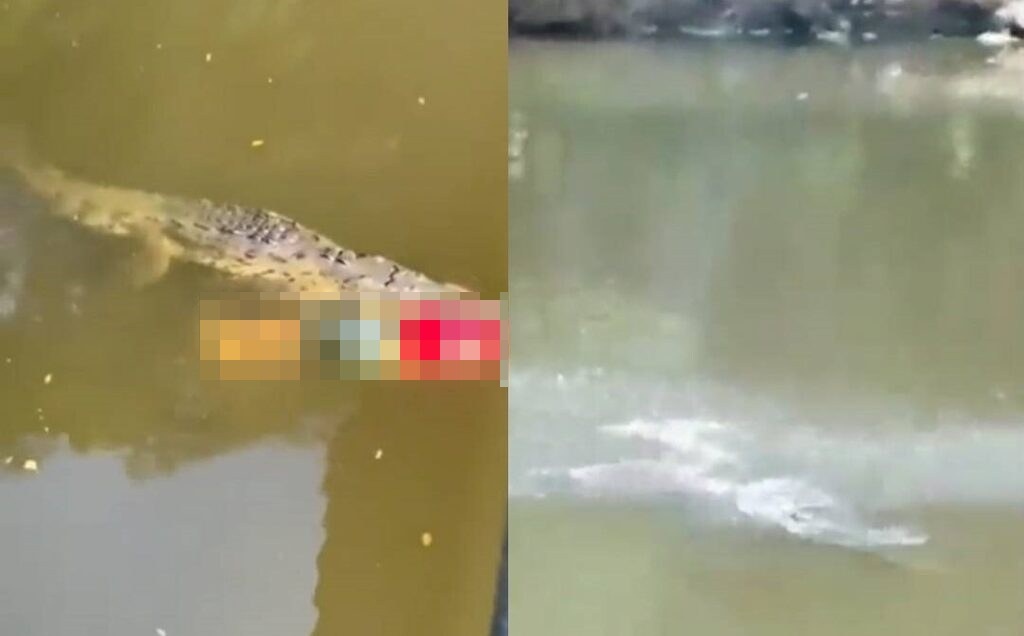VIDEO: Futbolista pierde la vida tras ser atacado por un cocodrilo en Costa Rica