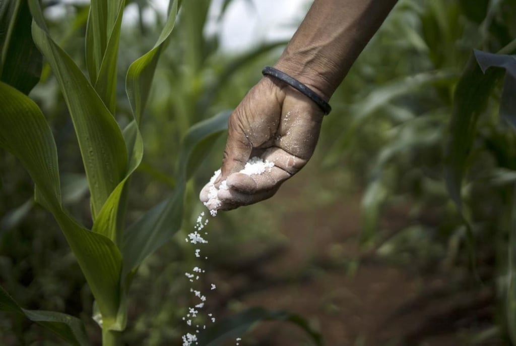 Al 80% entrega de fertilizantes en Durango