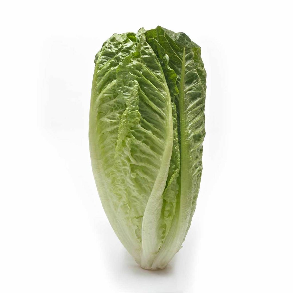 Gracias a su alto contenido en hierro, la lechuga es un alimento que alivia el cansancio, la fatiga y la anemia.