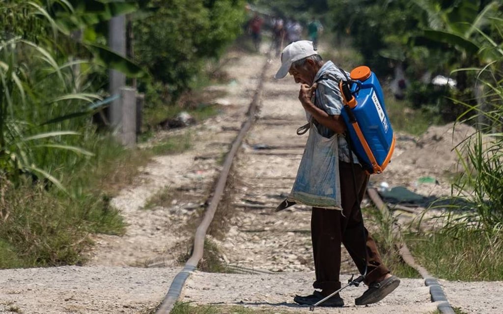 Cifras. El porcentaje de población en situación de pobreza bajó a 36.3% en 2022 frente a la proporción de 43.9% de 2020, un descenso de 7.6 puntos porcentuales, según la última medición del Coneval.