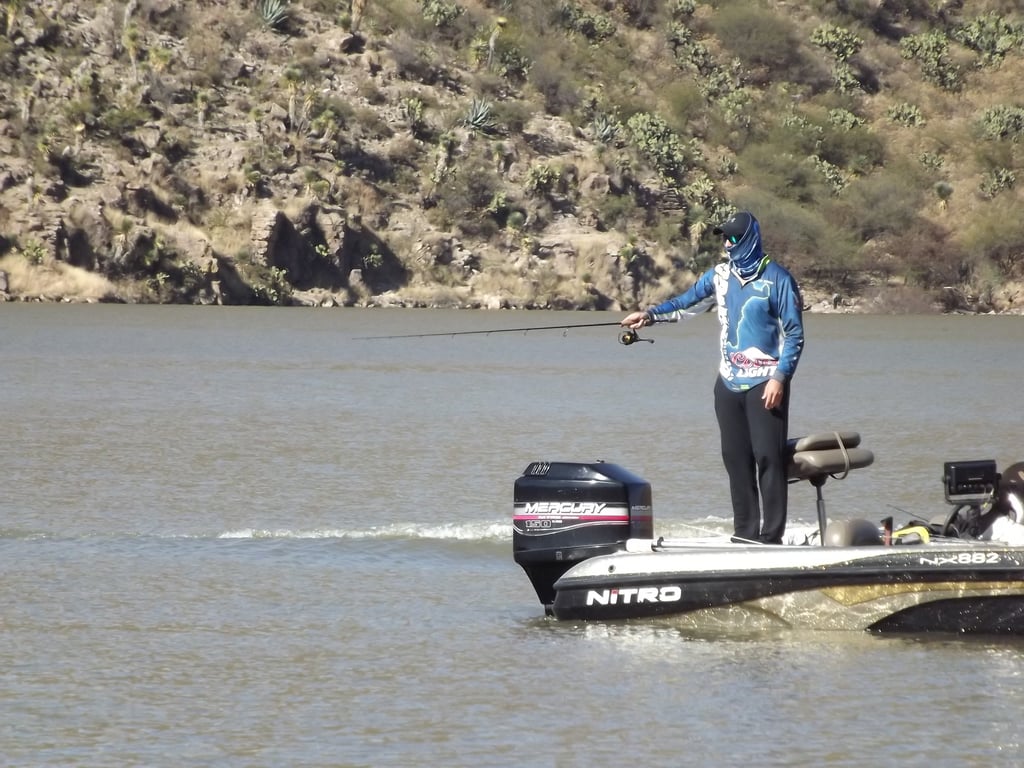 Se espera una gran cosecha de lobinas por parte de los participantes, que luego serán liberadas, tal como lo indica la convocatoria (ARCHIVO)