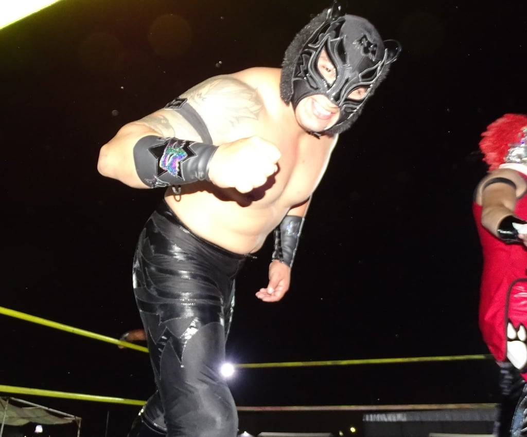 El poderoso Fox Steel hará pareja con Bufón en el combate estelar de esta función dominical, plaga de calidad sobre el ring. (Especial)