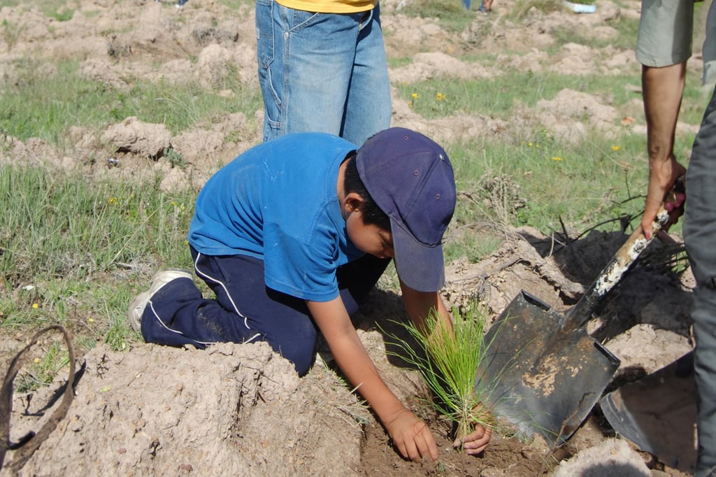 Se buscarían incentivos en Durango para quienes planten árboles en sus hogares