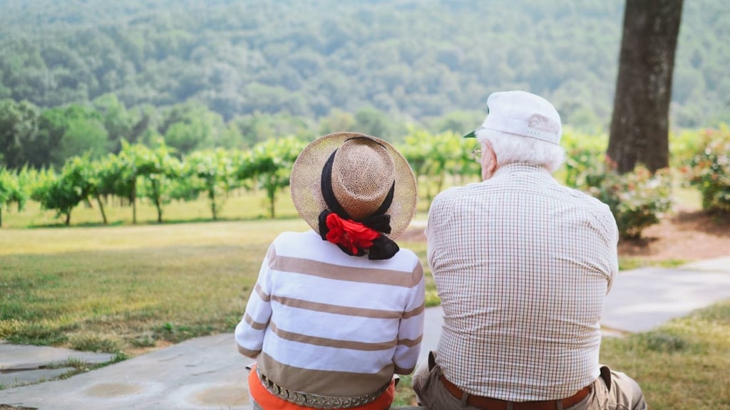 Si tienes más de 60 años, a través del INAPAM puedes viajar al interior del país bajo el esquema de turismo social para adultos mayores, en excursiones a diferentes estados de la República.
