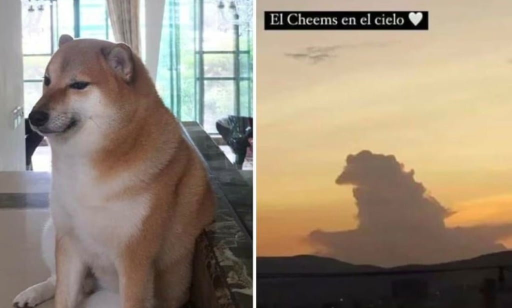 ¿Cheems aparece en el cielo? Se viraliza peculiar nube con la forma del perrito