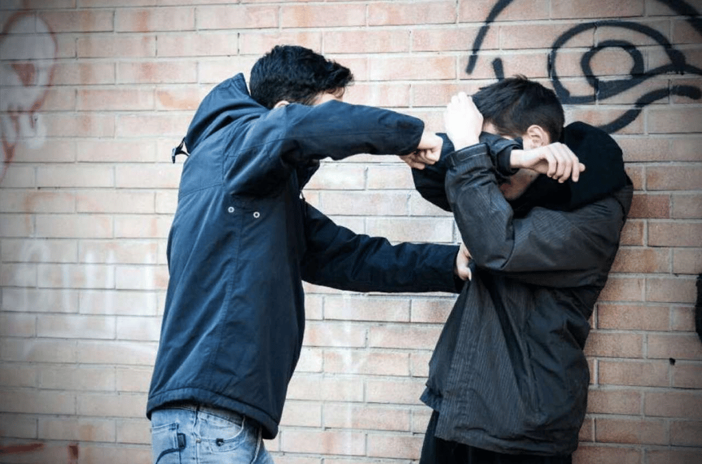 Tipos de bullying