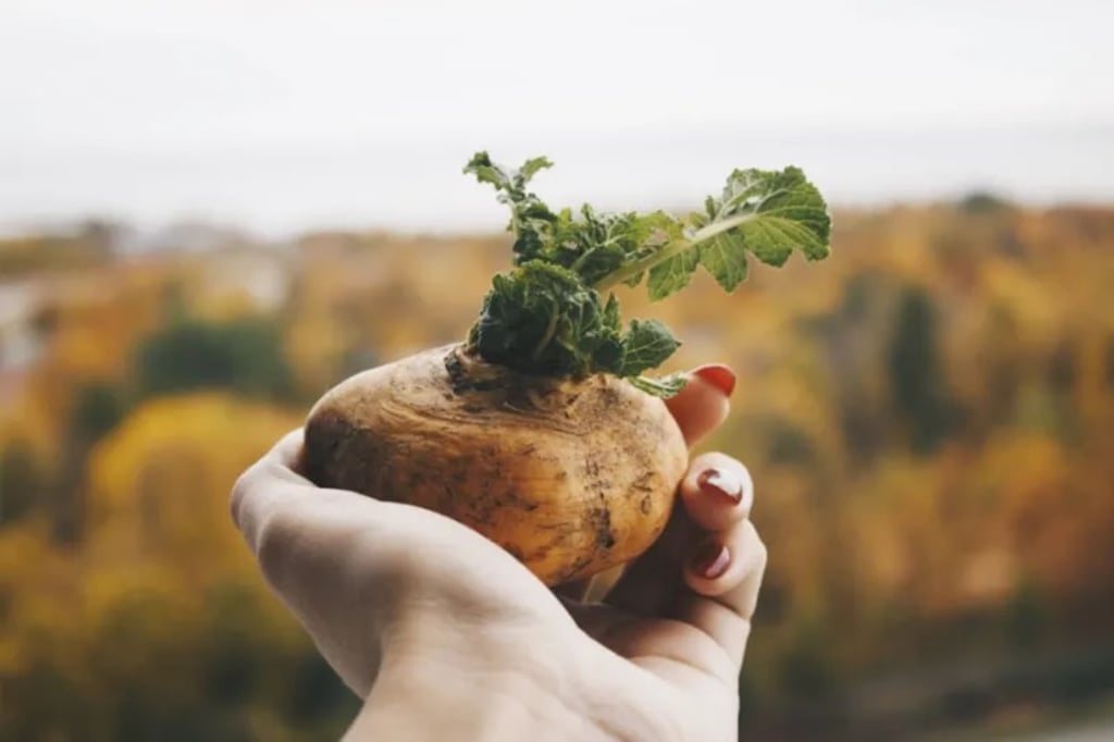 Alerta. Hay desconocimiento de ciertos alimentos de gran contenido nutrimental.