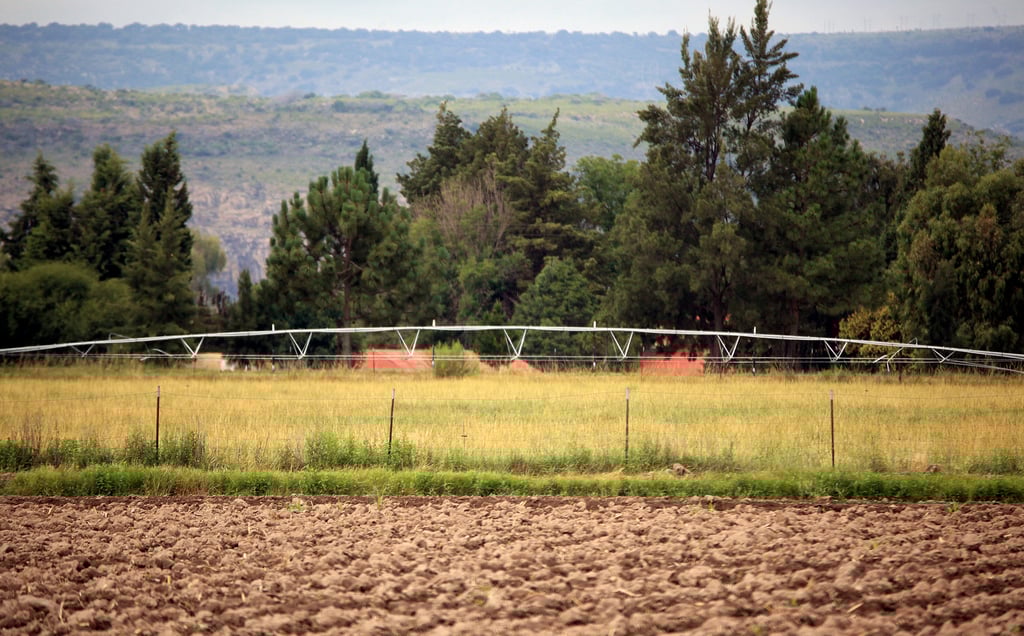 Por sequía, ven necesaria la implementación de programas emergentes para campesinos de Durango