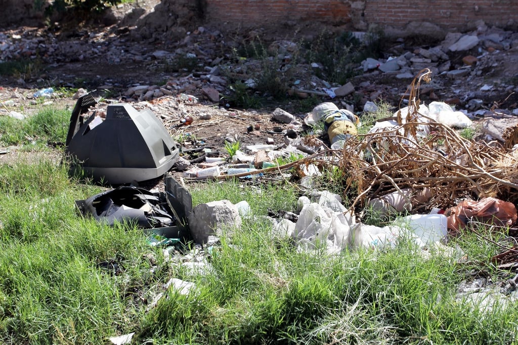 Procedimiento. Aprobaron iniciar con un proceso de actualización del padrón de lotes baldíos.