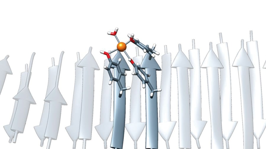 Ilustración de la estructura de las nanoenzimas obtenidas en la que se detalla cómo los aminoácidos tirosina (en rojo) coordinan los iones metálicos (naranja). (ESPECIAL)