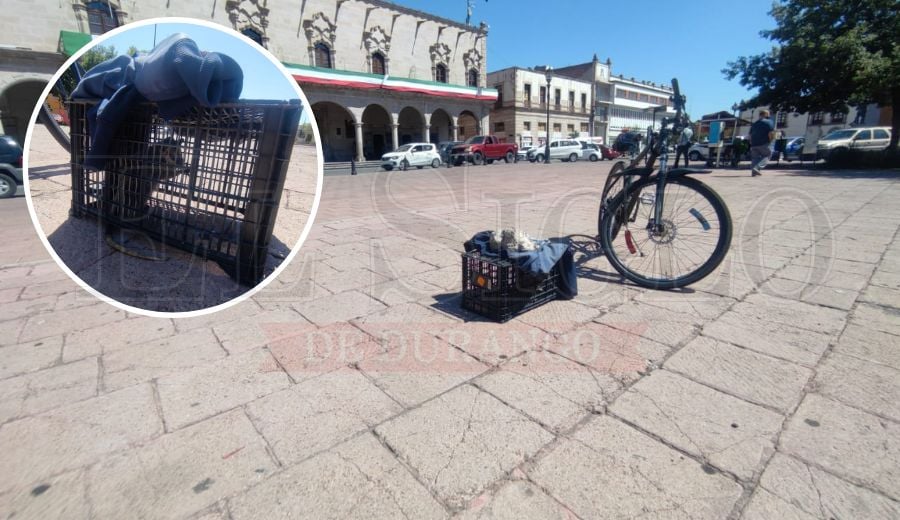 Capturan y resguardan un tlacuache en la plaza IV Centenario