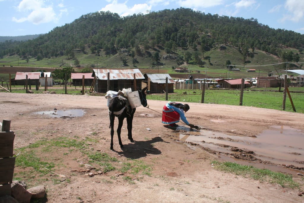 Comunidades indígenas de Durango...