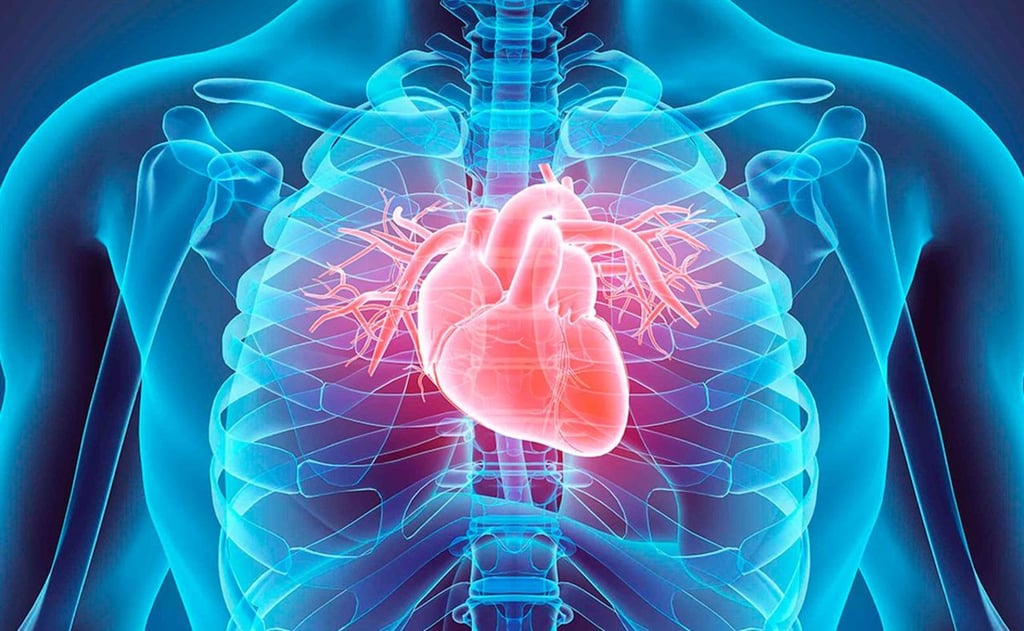 Estudio. El virus que causa la Covid-19, puede infectar directamente las arterias coronarias y aumentar el riesgo de enfermedades cardiovasculares, como infartos o ictus.