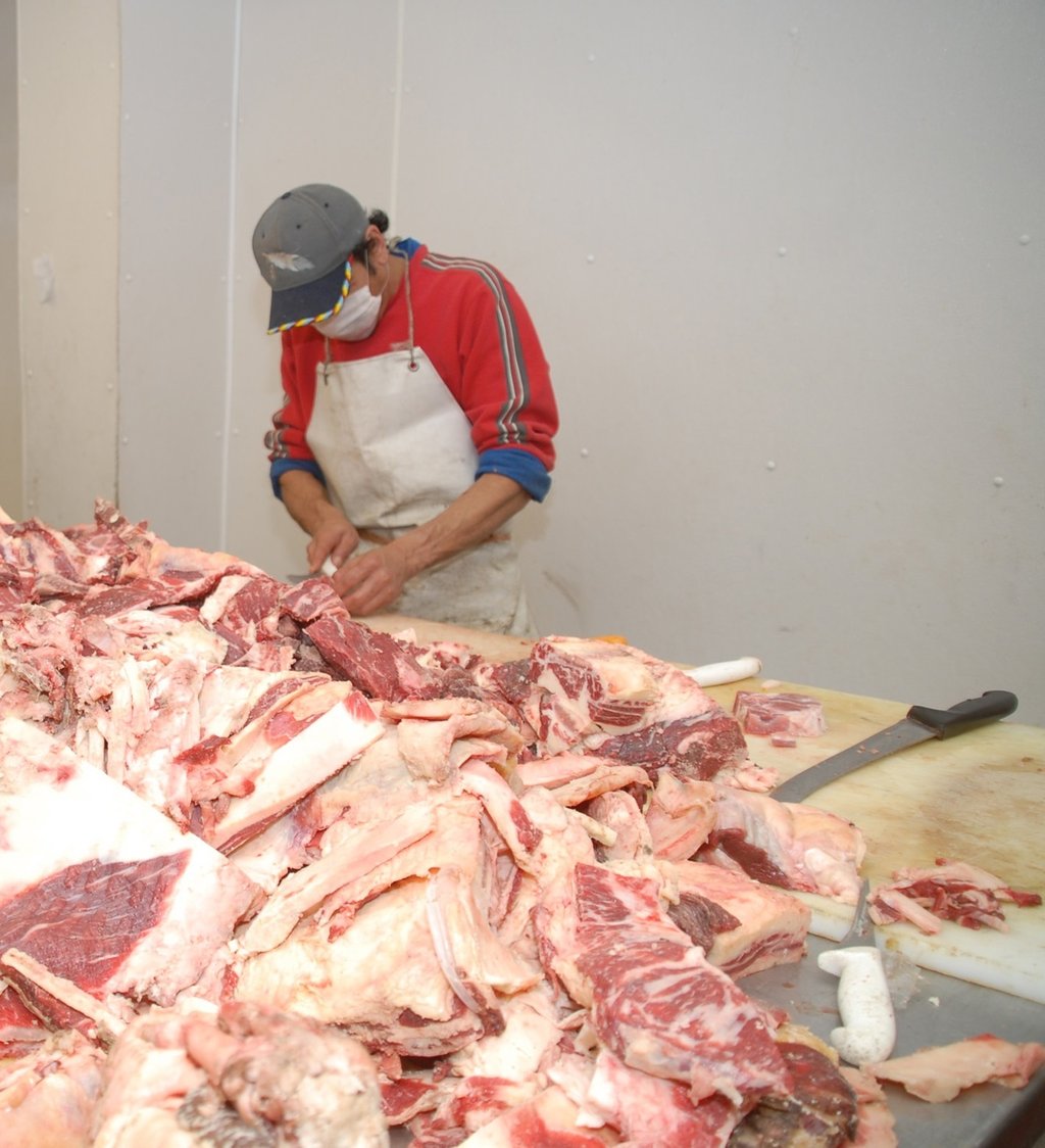 Dato. De enero a septiembre de 2023, se registró una producción de tres mil 119 toneladas de carne de porcino en Durango. 
