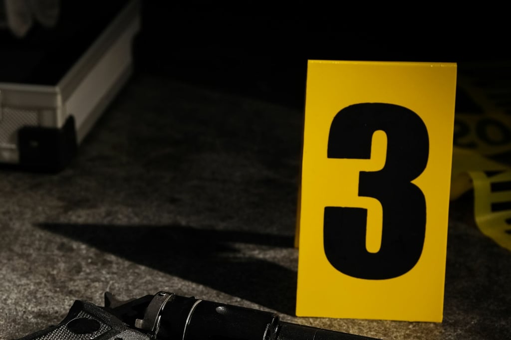 Hallan los cuerpos de una mujer y sus dos hijos en una vivienda de ...