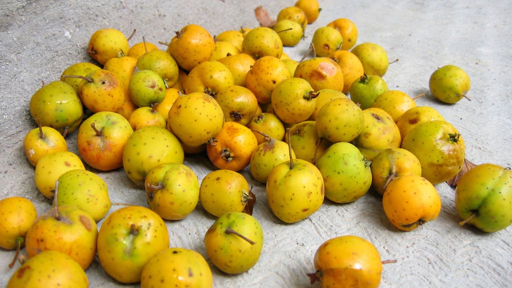 Frutas de temporada en octubre