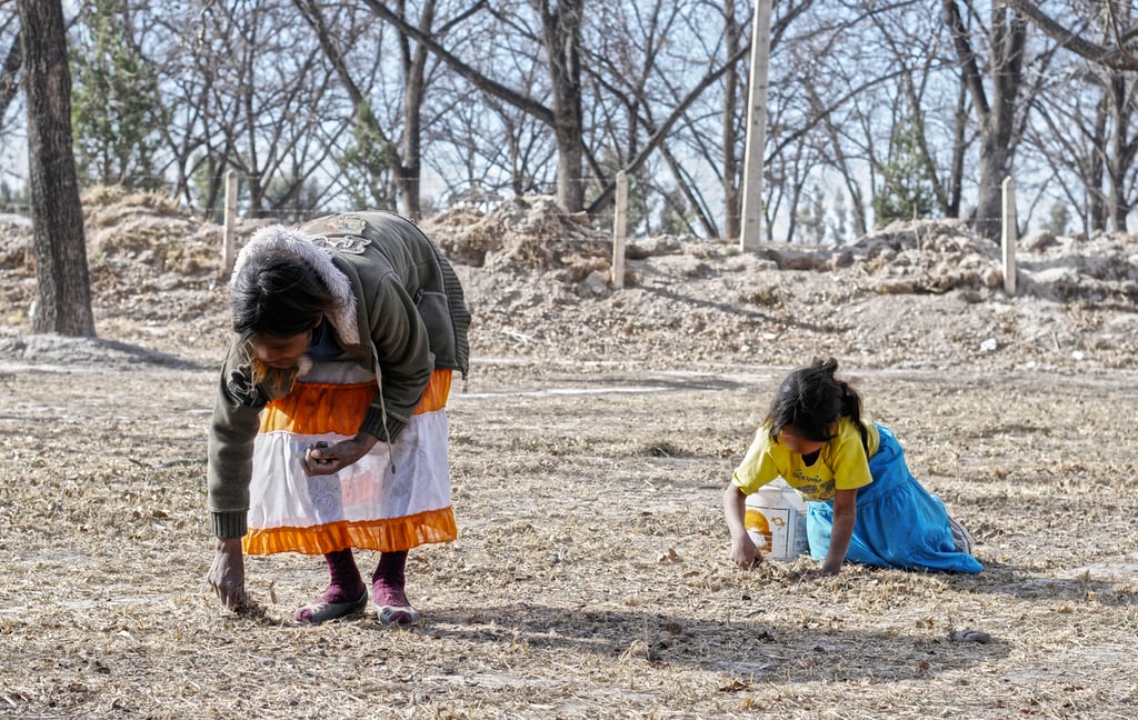 Población. Más del 20 por ciento del total de población femenina vive en zona rural.